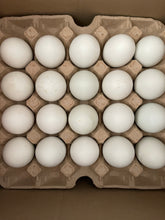 Load image into Gallery viewer, Balut
